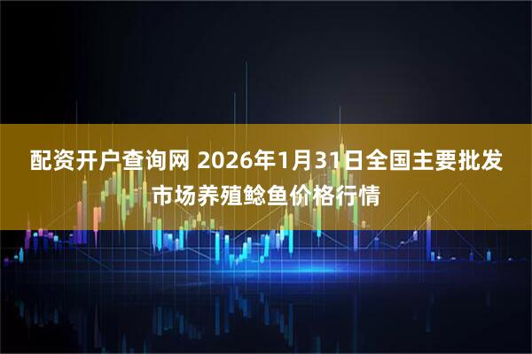 配资开户查询网 2026年1月31日全国主要批发市场养殖鲶鱼价格行情