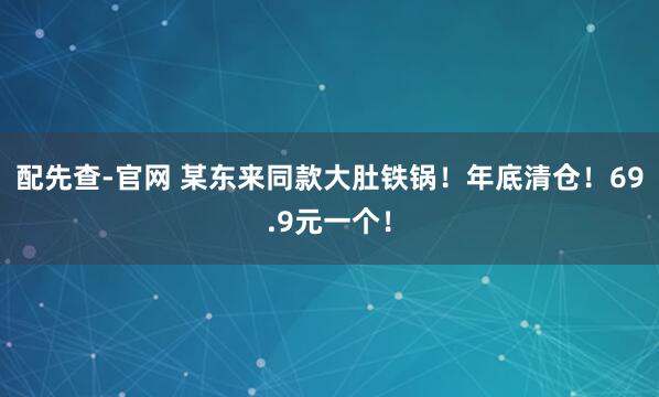 配先查-官网 某东来同款大肚铁锅！年底清仓！69.9元一个！