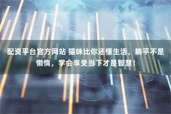 配资平台官方网站 猫咪比你还懂生活，躺平不是懒惰，学会享受当下才是智慧！